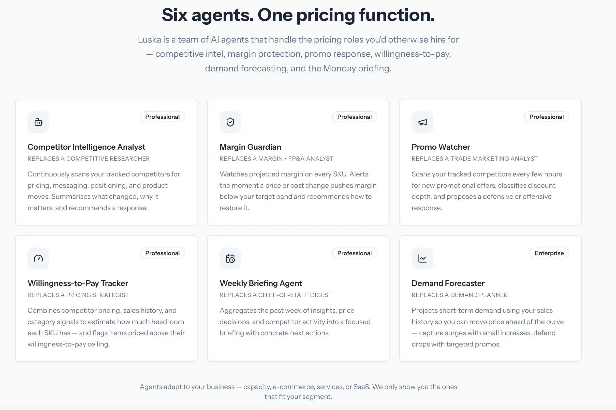 Luska.ai gallery image