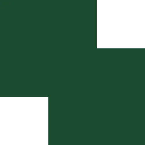 superemotion logo