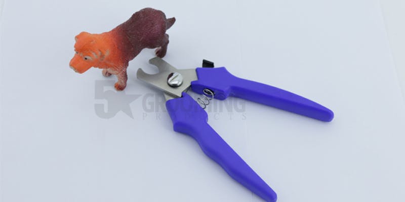Dog Grooming Scissor media 1