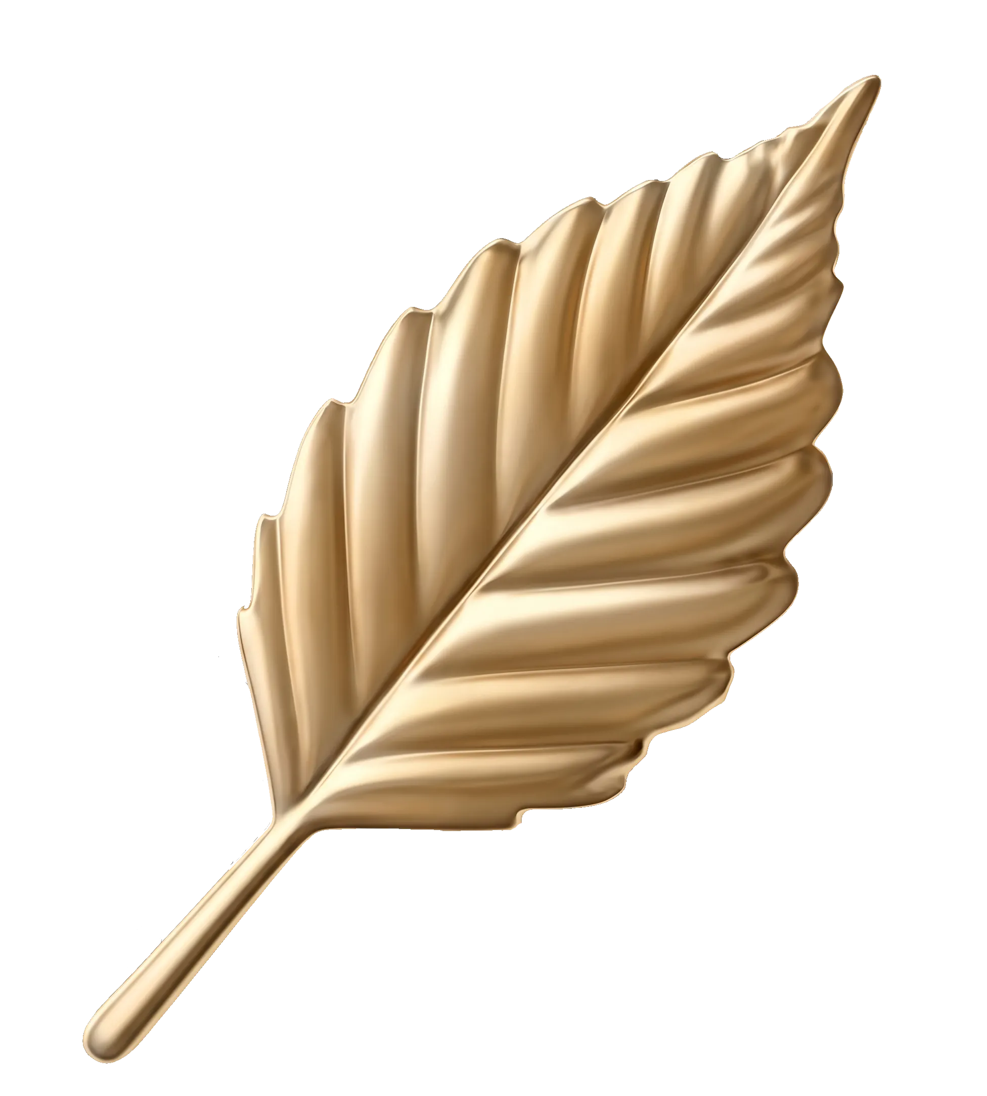 Birch