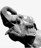 PostgreSQL 9.6