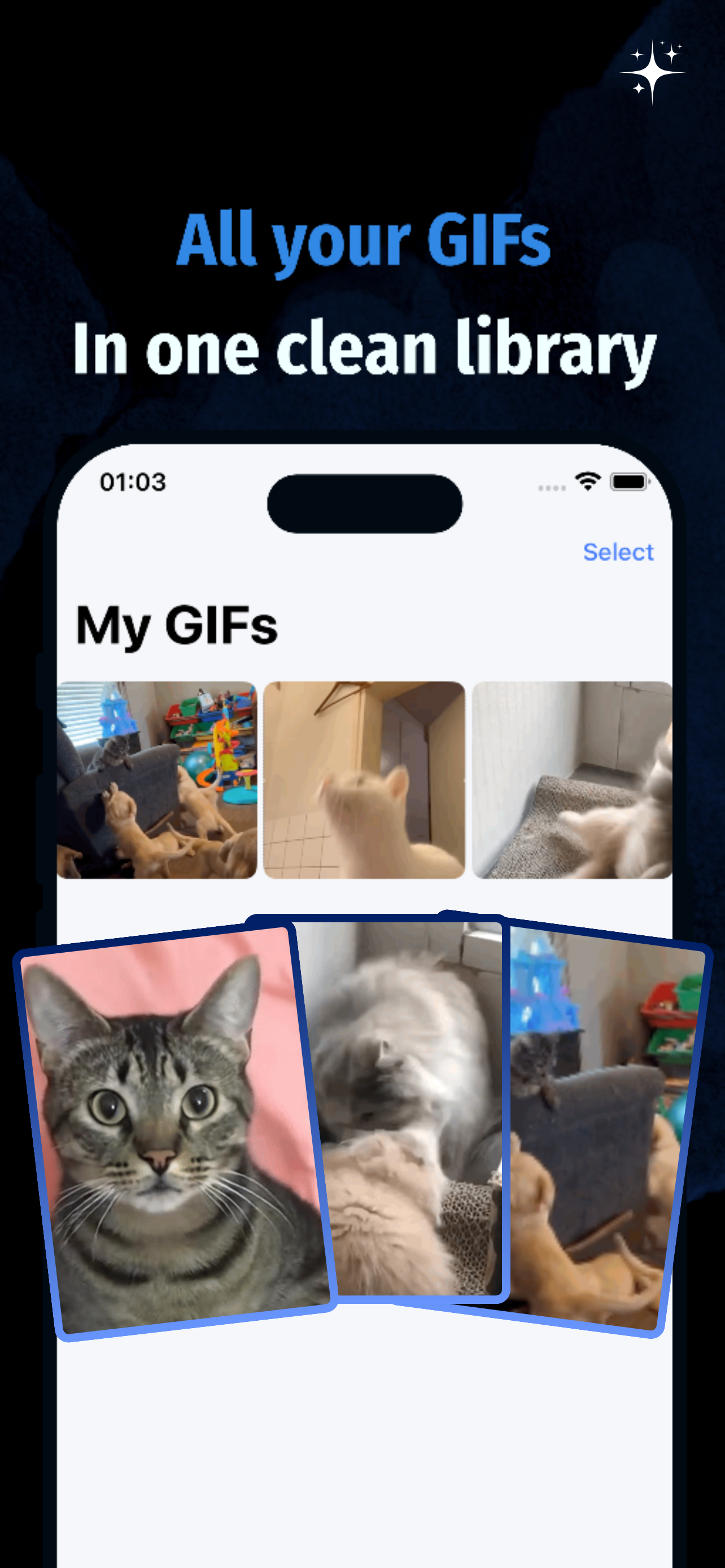 GIF Maker gallery image