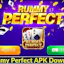 Rummy Perfect