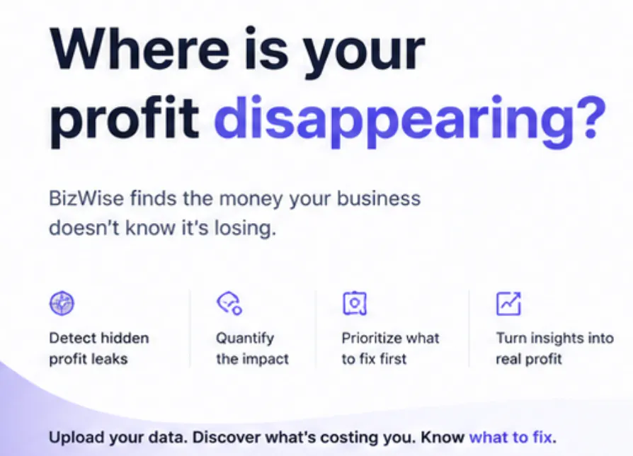 BizWise - Your Business Partner gallery image