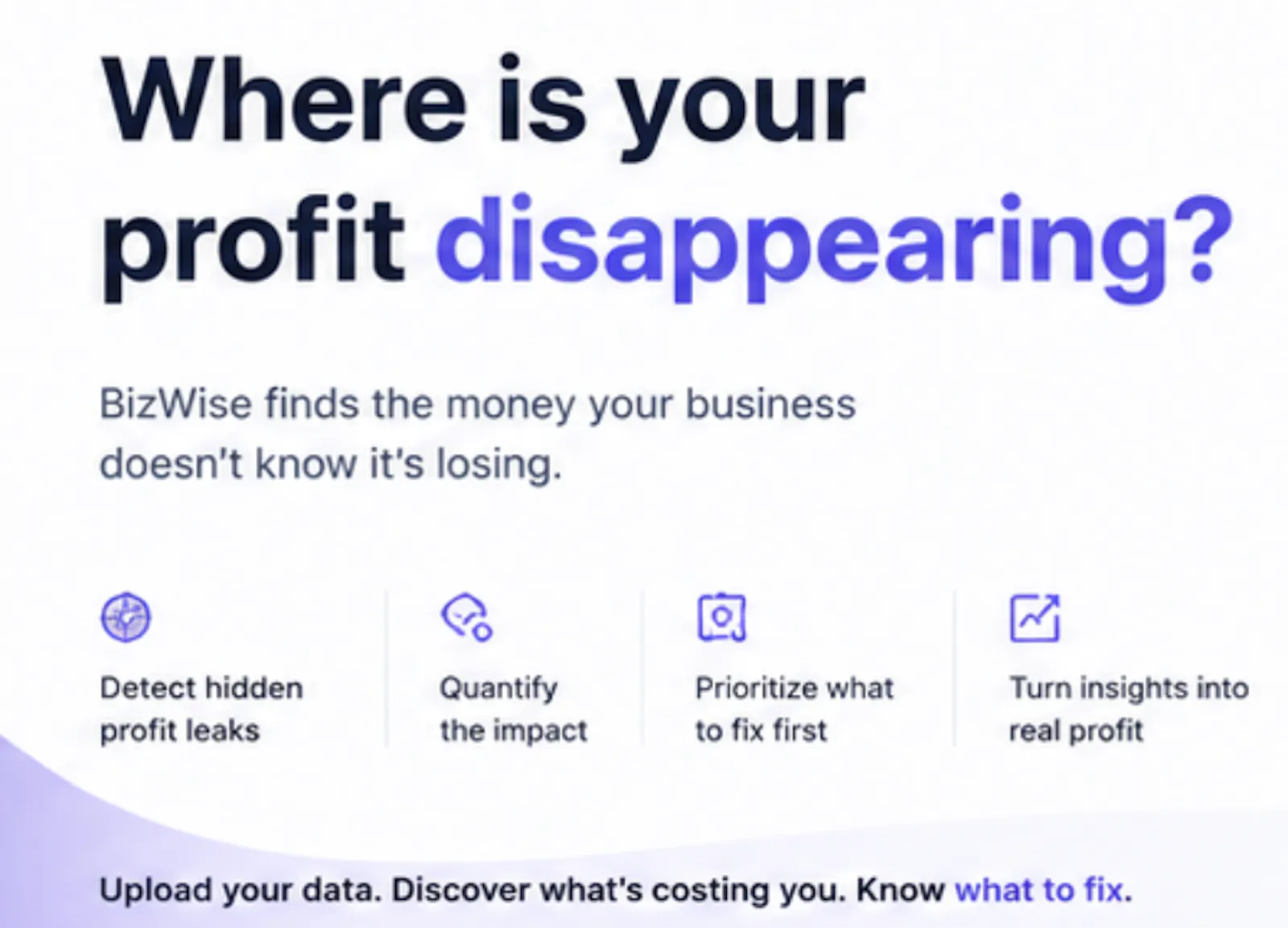 BizWise - Your Business Partner screenshot 1