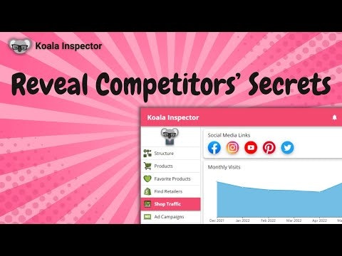 Koala Inspector - Shopify Spy Tool gallery image