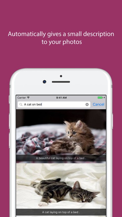 Snowloop gallery image