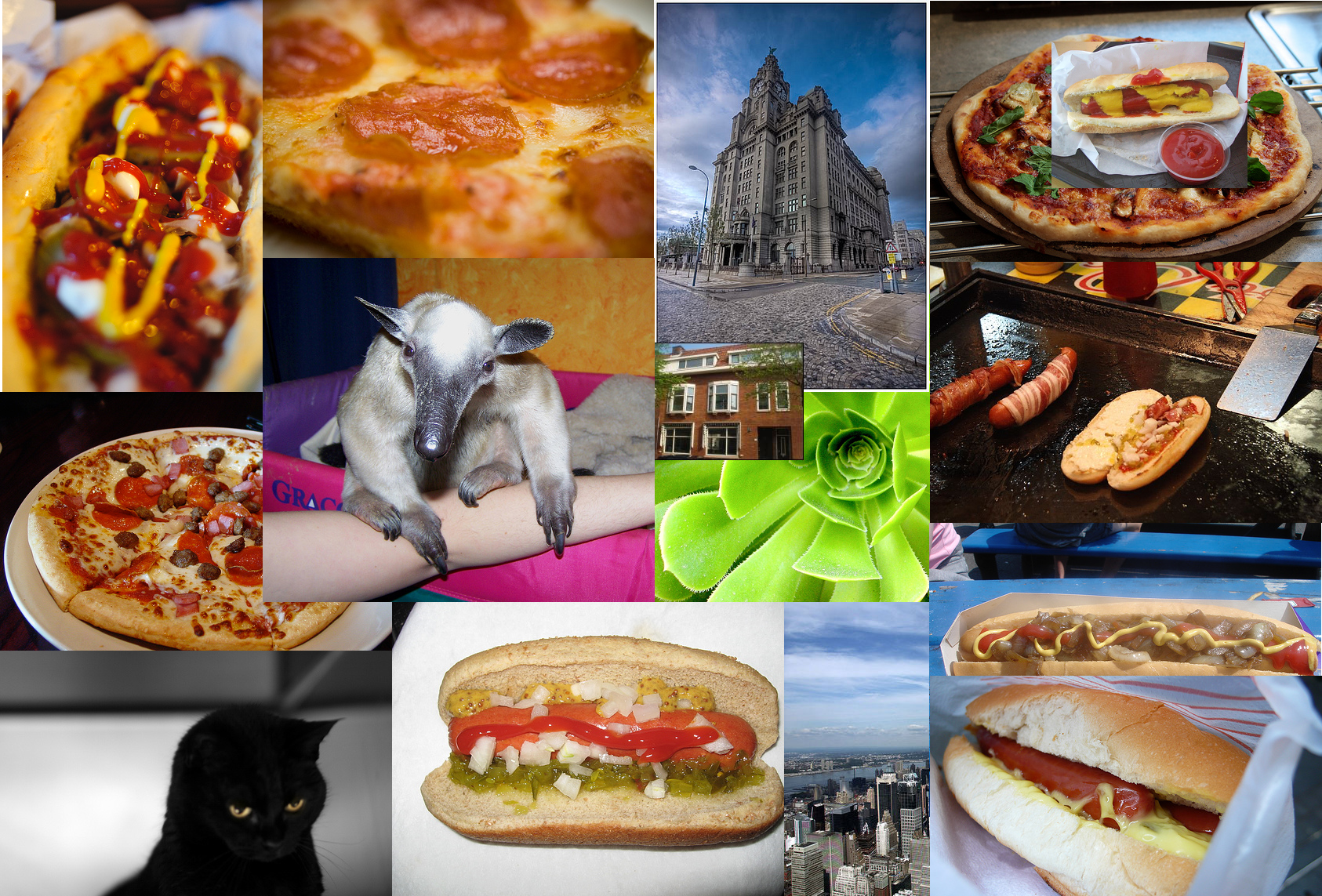 Not Hotdog Sketch plugin gallery image