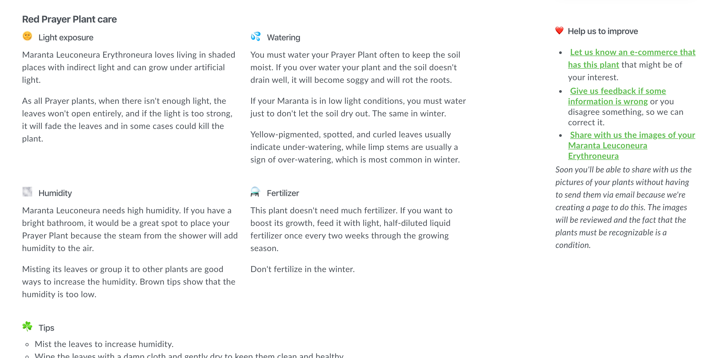 ChooseYourPlant gallery image