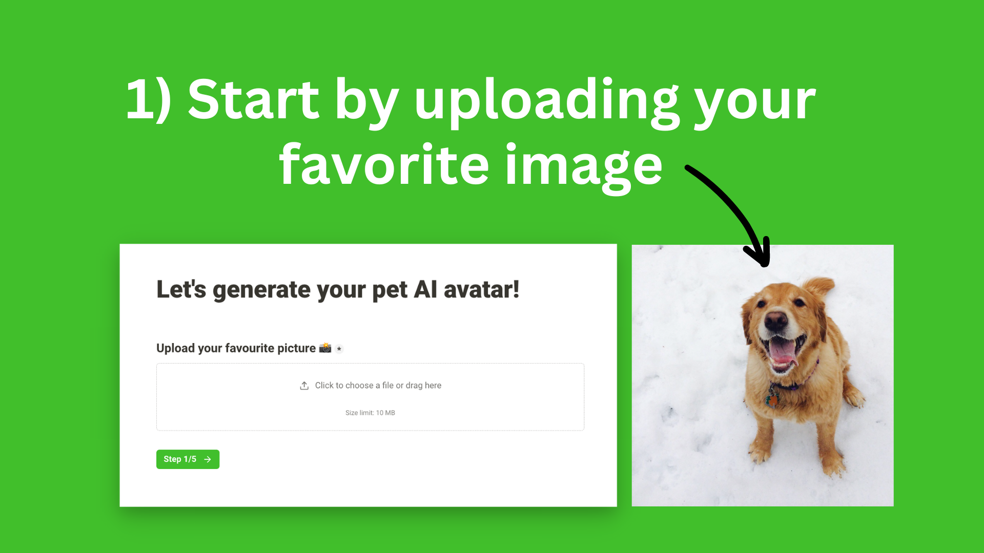 AiPetAvatar.com - De AI Avatar -generator voor uw huisdier media 2