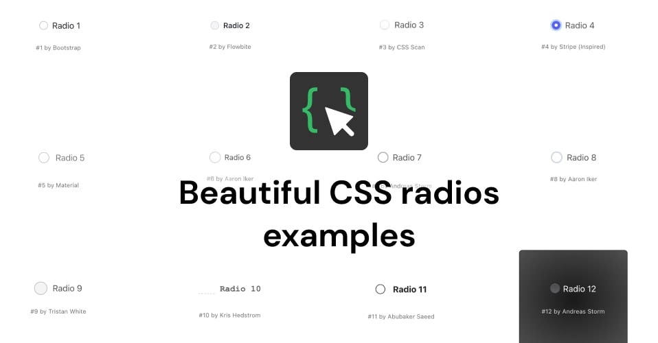 Beautiful CSS Radios by CSS Scan media 5