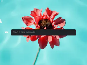 ScreenBack gallery image