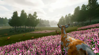 Deer Journey gallery image