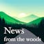 News from the Woods