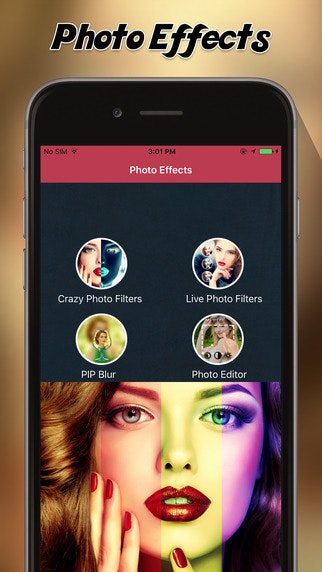 Pip Gallery & Camera Effects gallery image