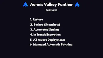Aonnis Valkey Panther gallery image