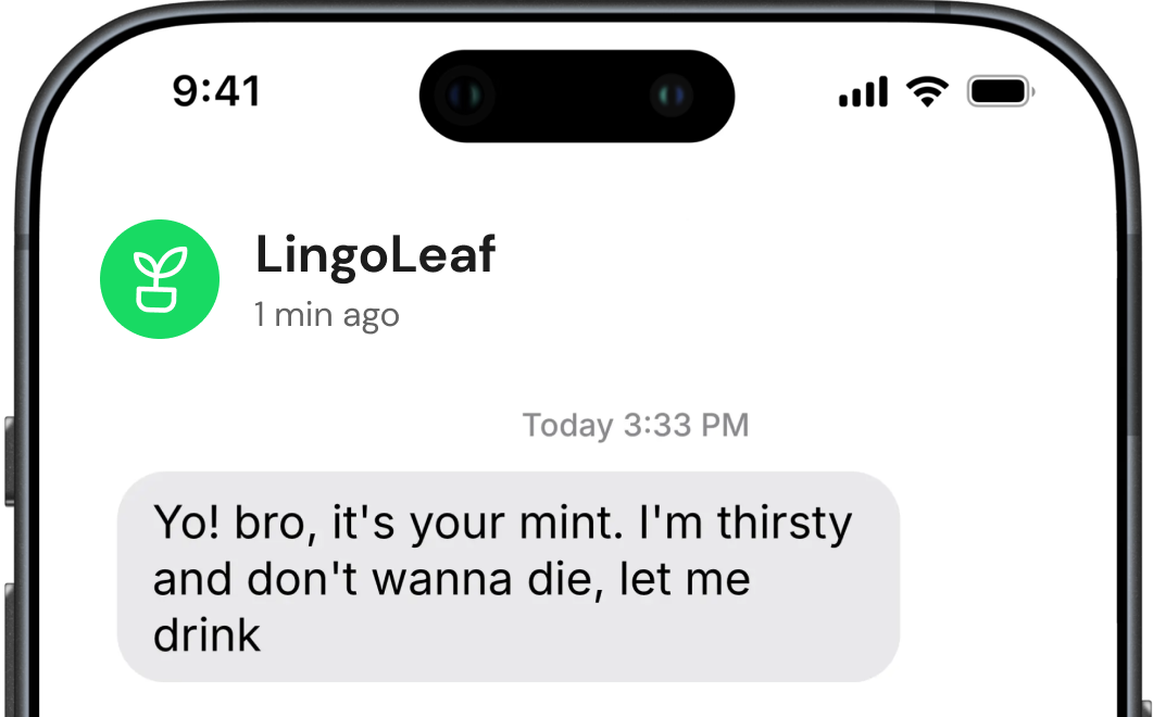 LingoLeaf gallery image