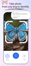 Insect Identifier: Bug Finder gallery image