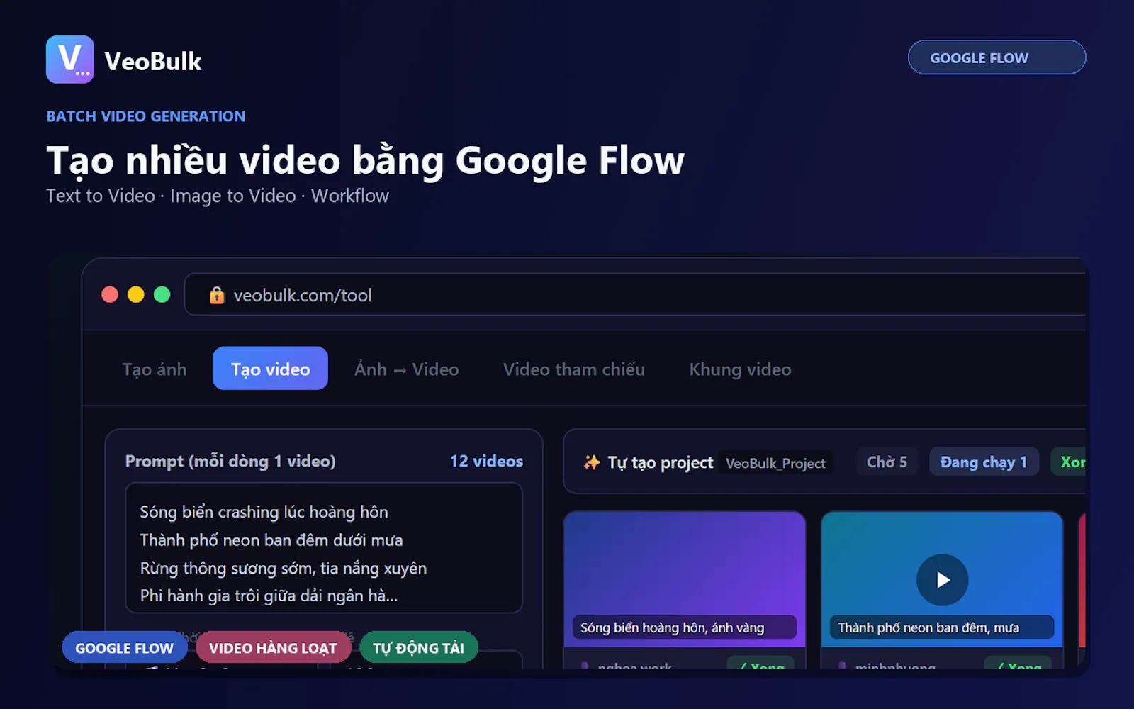VeoBulk screenshot 2