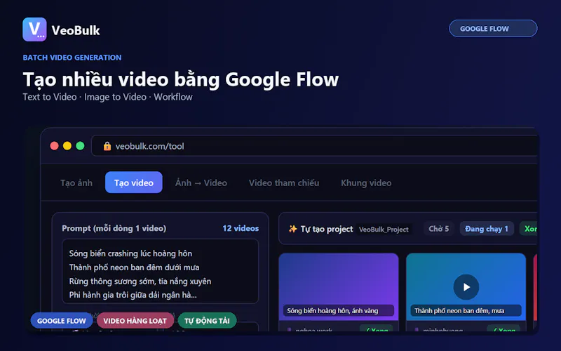 VeoBulk screenshot 2