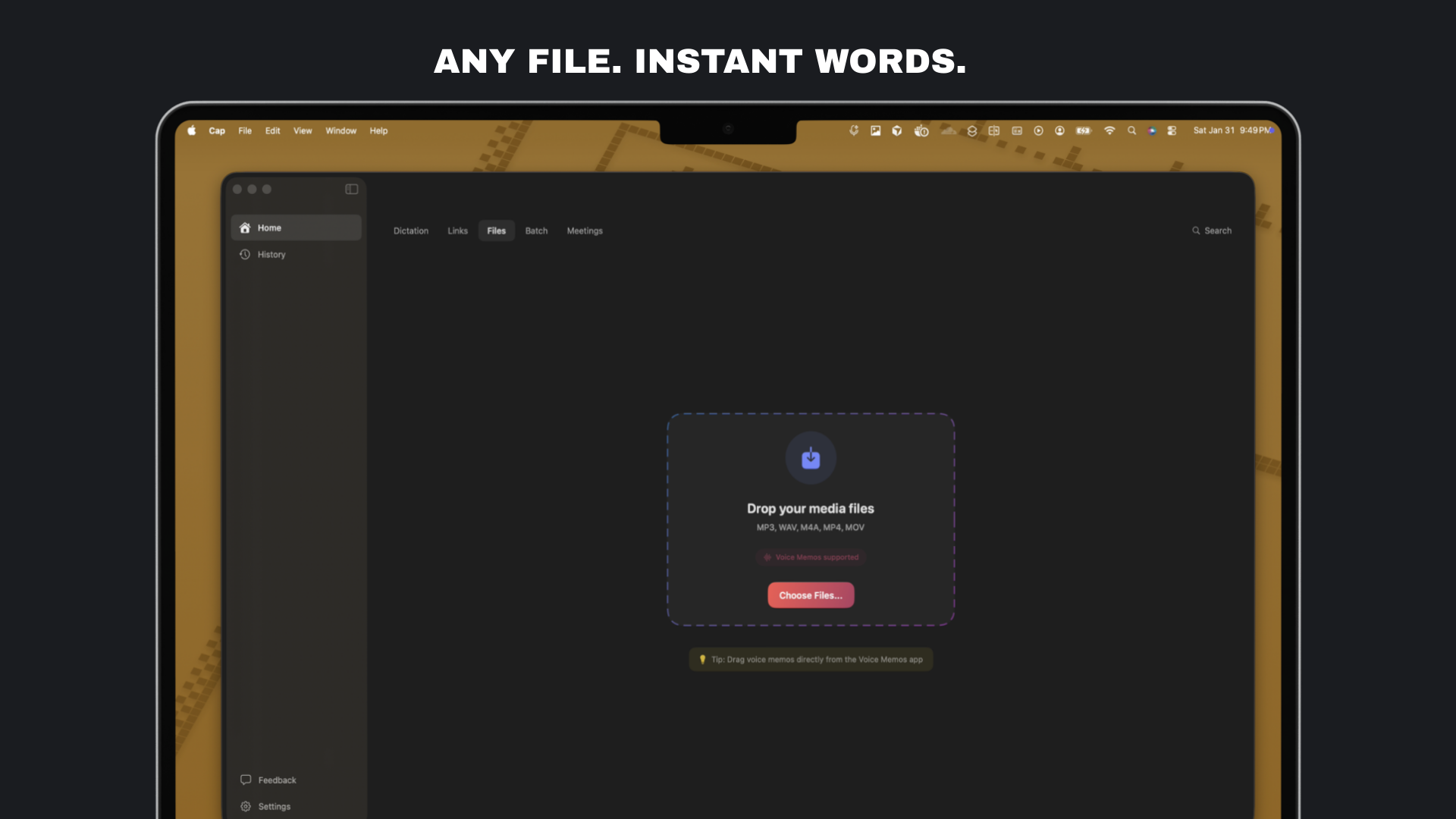 EchoText gallery image