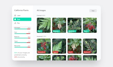 Lobe 2.0 gallery image