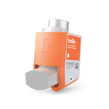 Hailie gallery image