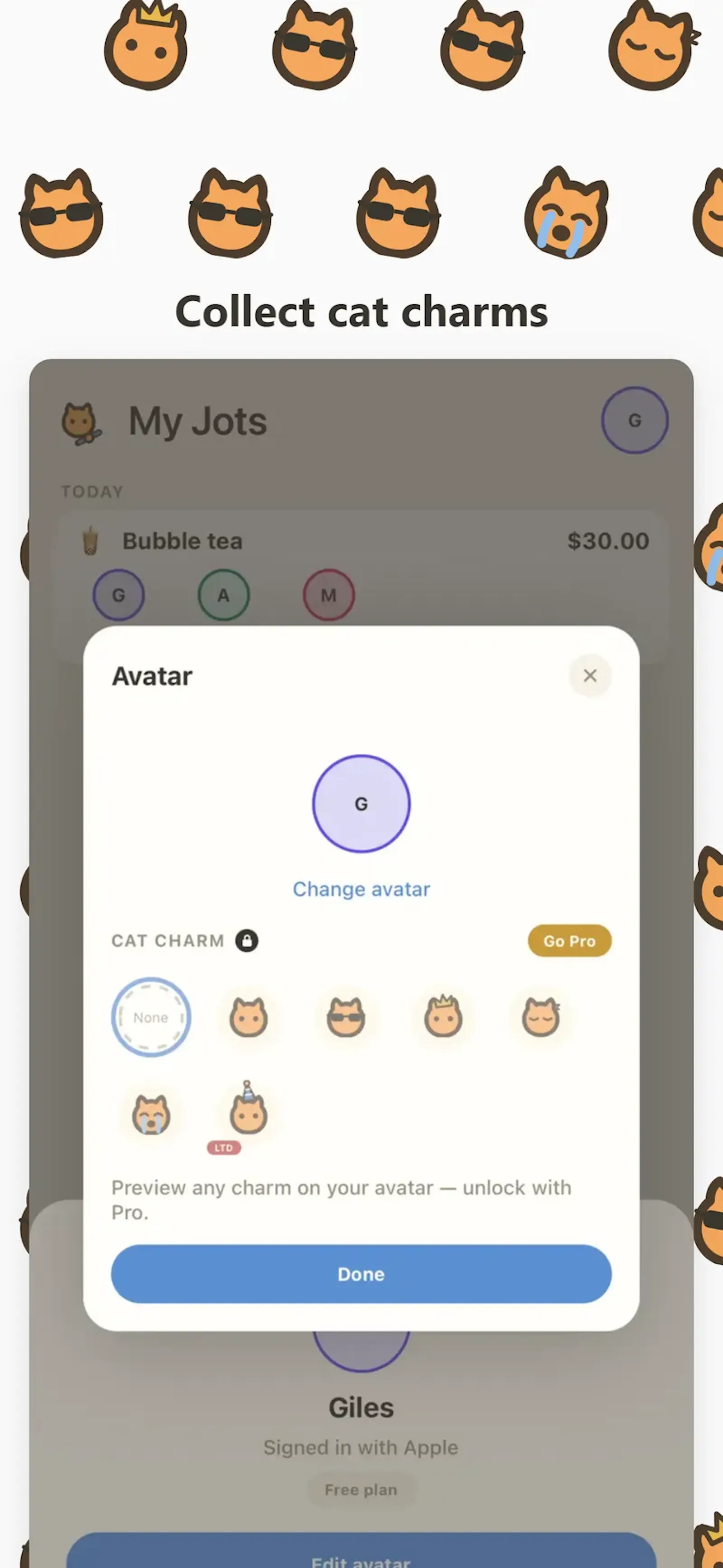 JotSplit screenshot 4