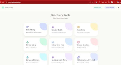 Optimust Mirror by Optimust Intelligence gallery image