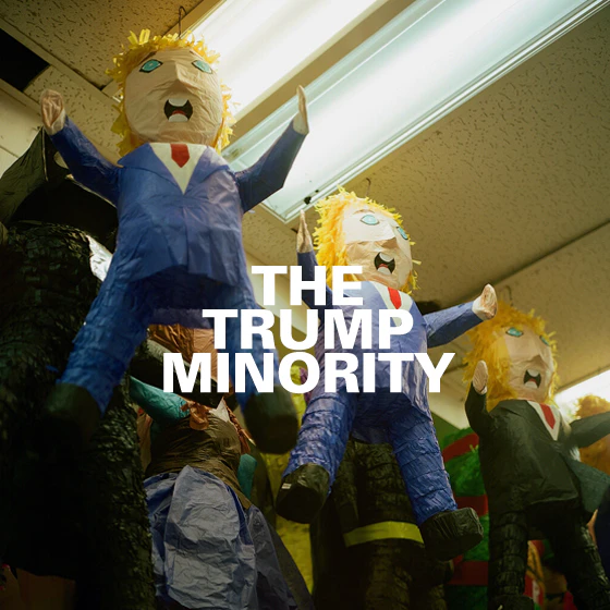 Some Noise - The Trump Minority