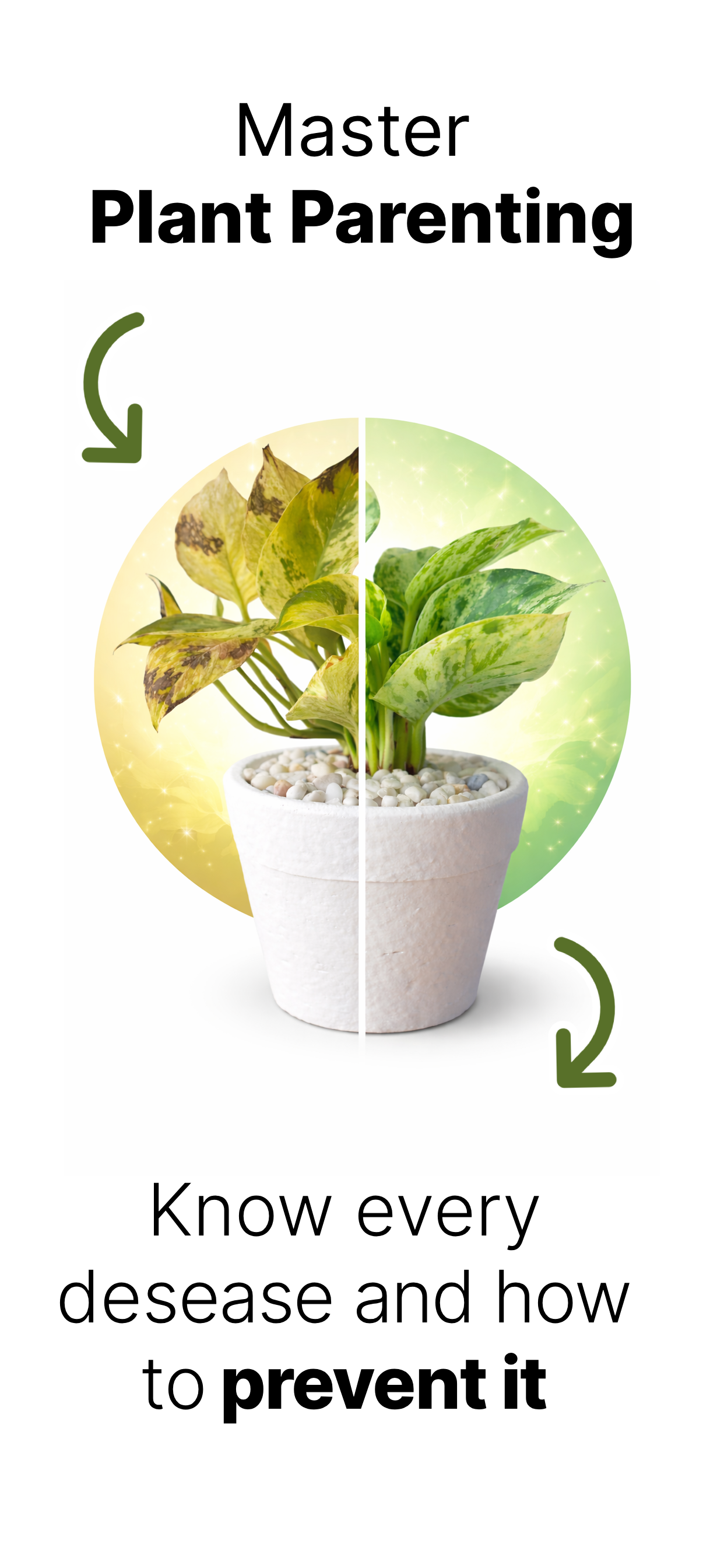 Plant Care gallery image