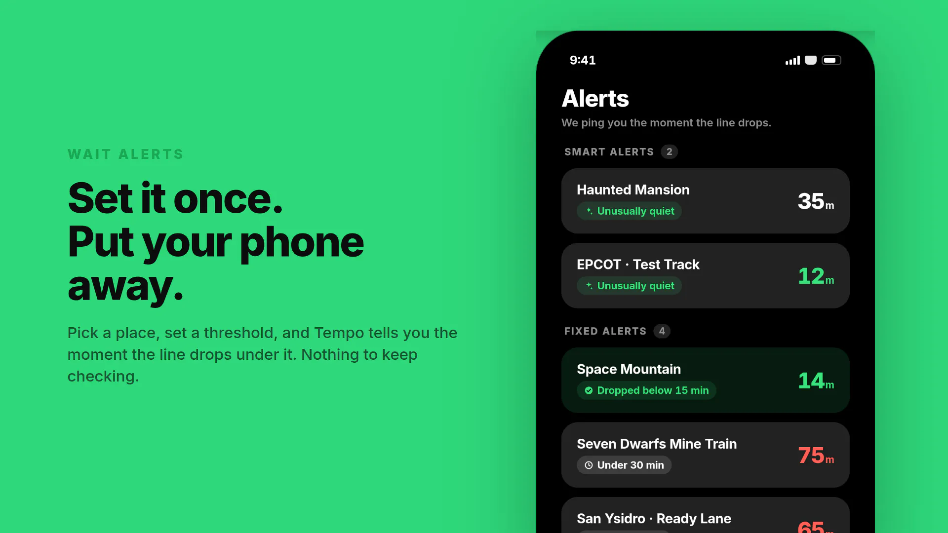 Tempo — Live Wait Times gallery image