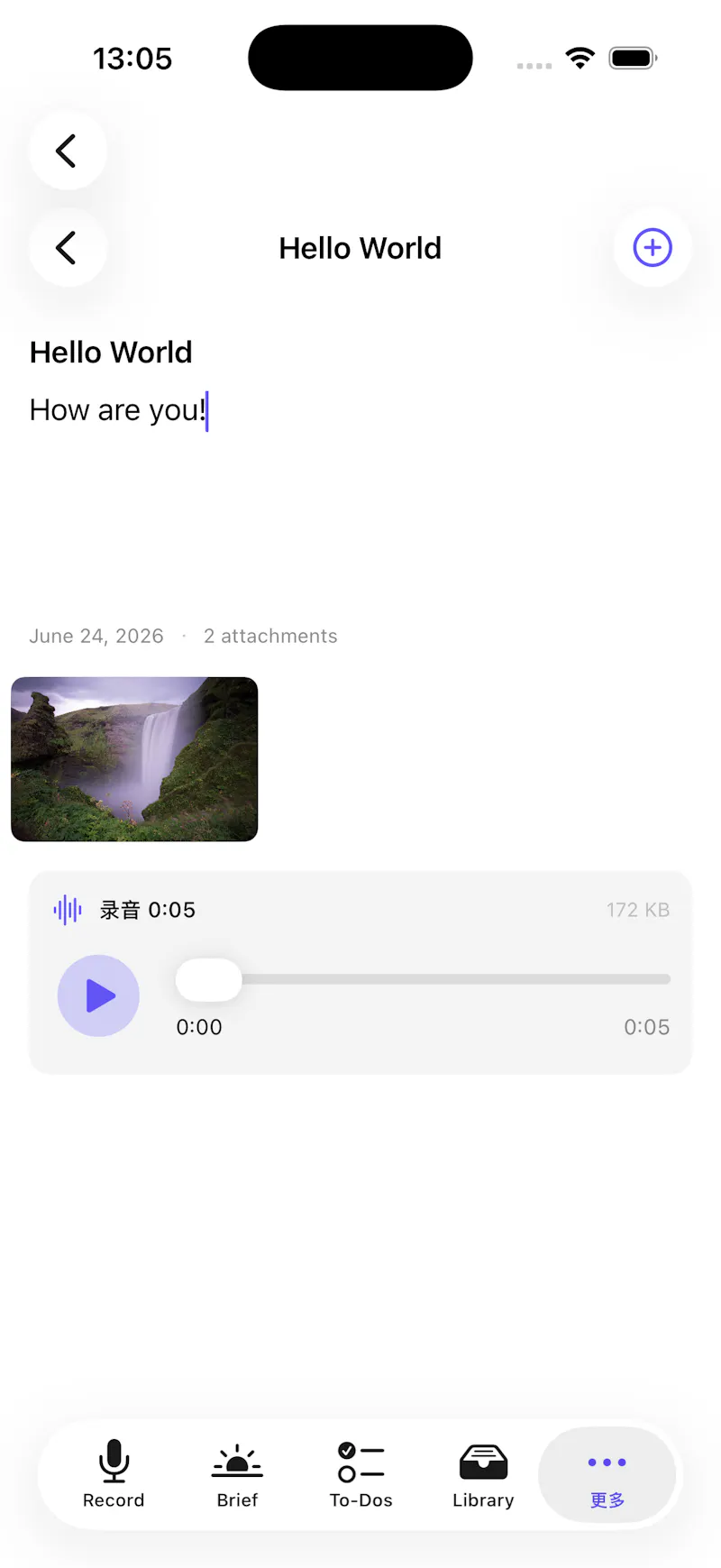 On-device AI for meeting notes. No cloud screenshot 6
