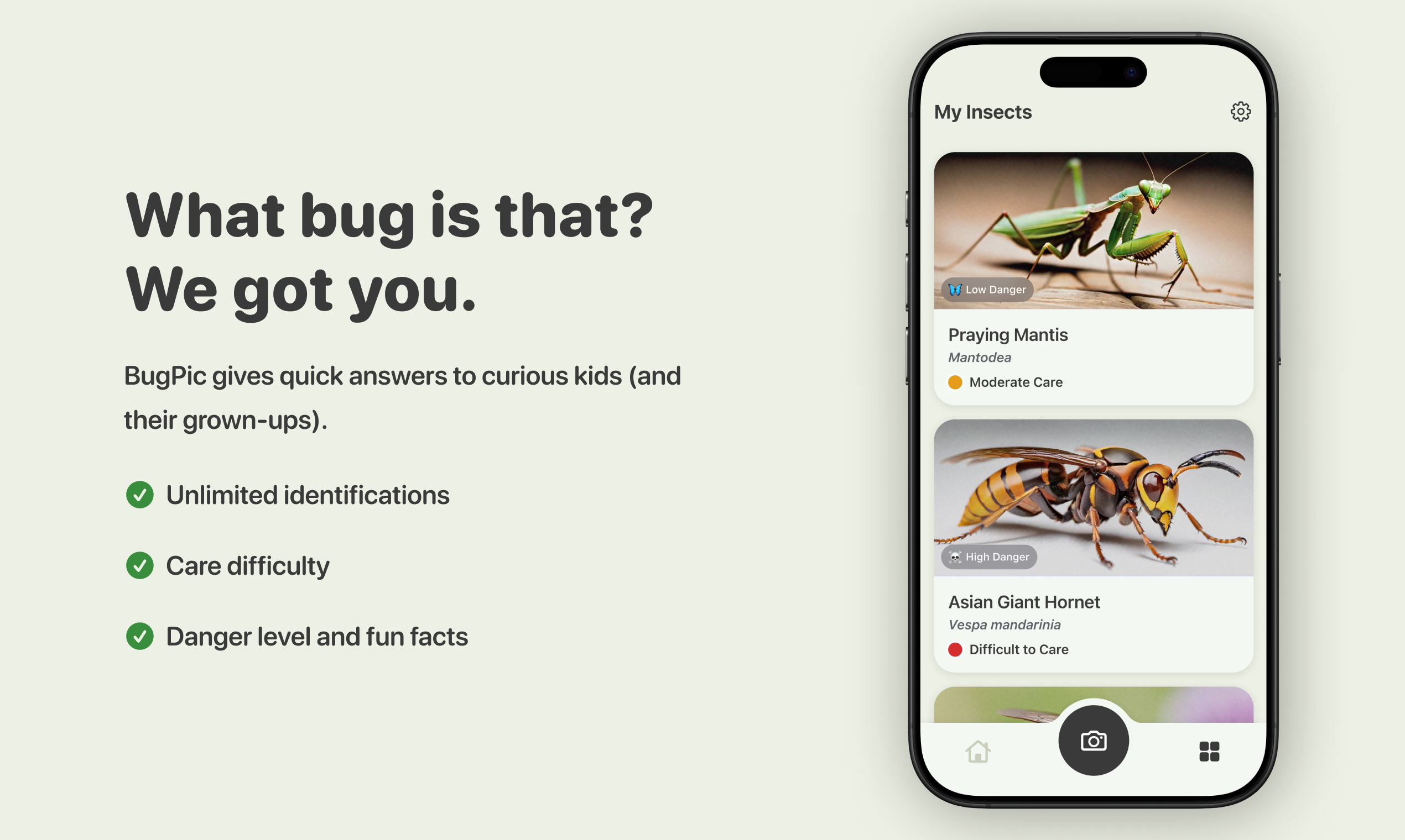 BugPic media 3