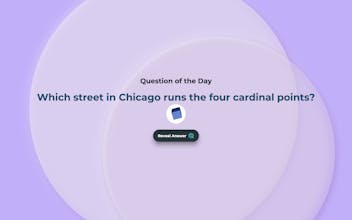 Social AI Next gallery image