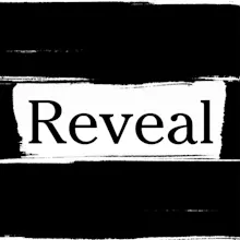 Reveal - Pumped on Trump gallery image