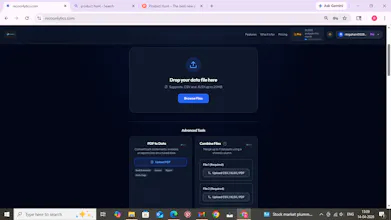 Recoonlytics gallery image