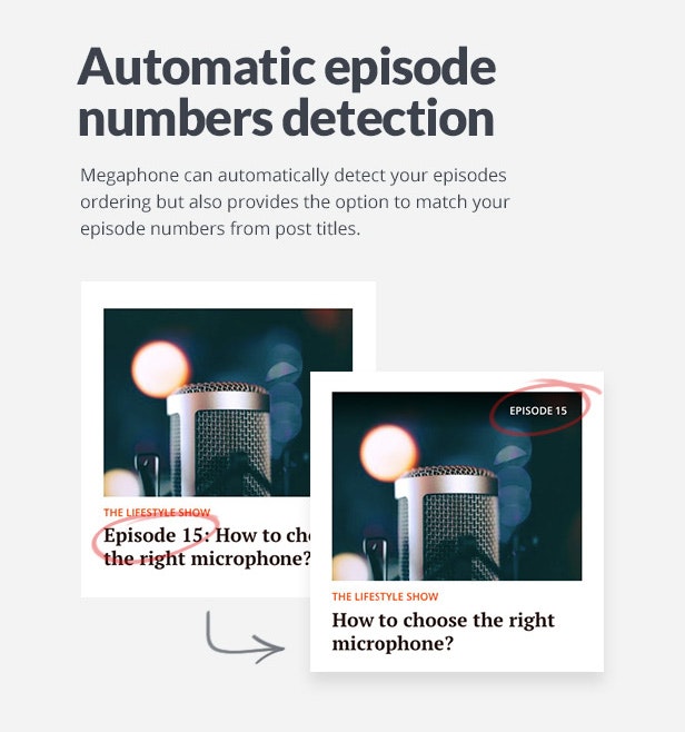 Megaphone- Audio Podcast WordPress Theme gallery image