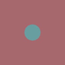 The Hera Collective gallery image