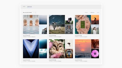 YOOtheme Pro gallery image
