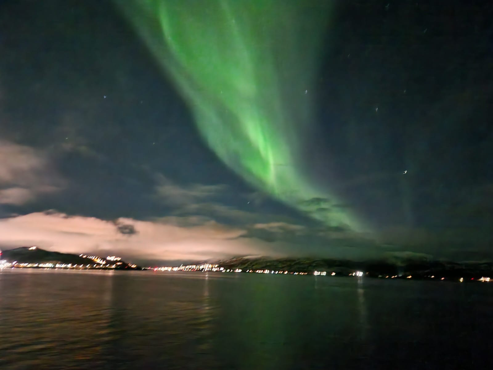 Norwegian Fjord Explorer - Screenshot 2 showing product features and functionality