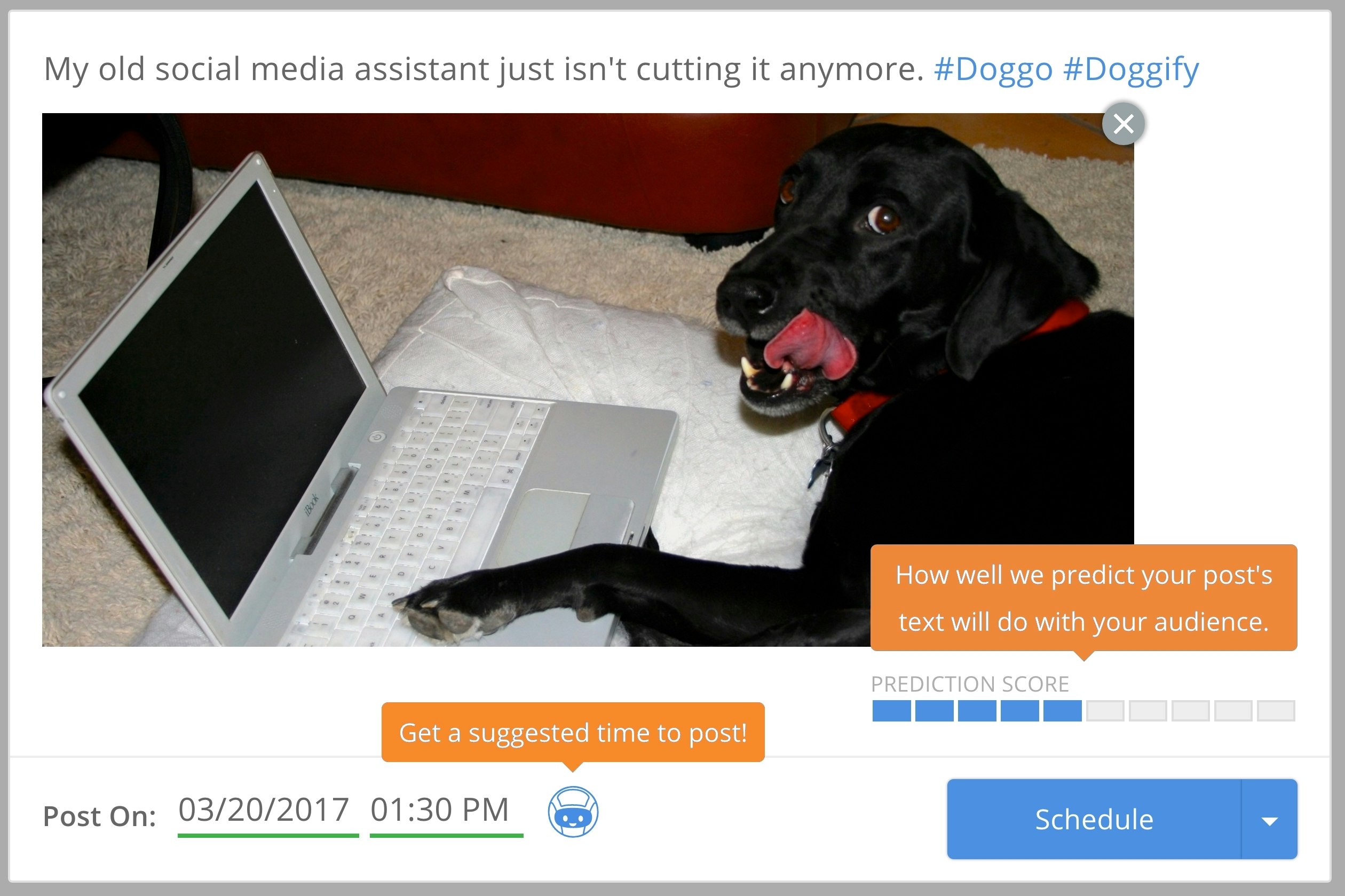 Post Intelligence gallery image