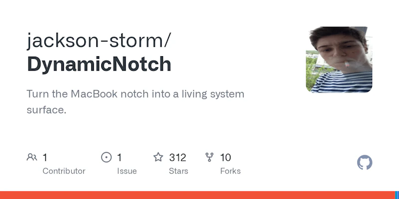DynamicNotch screenshot 19