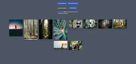 Hachi gallery image