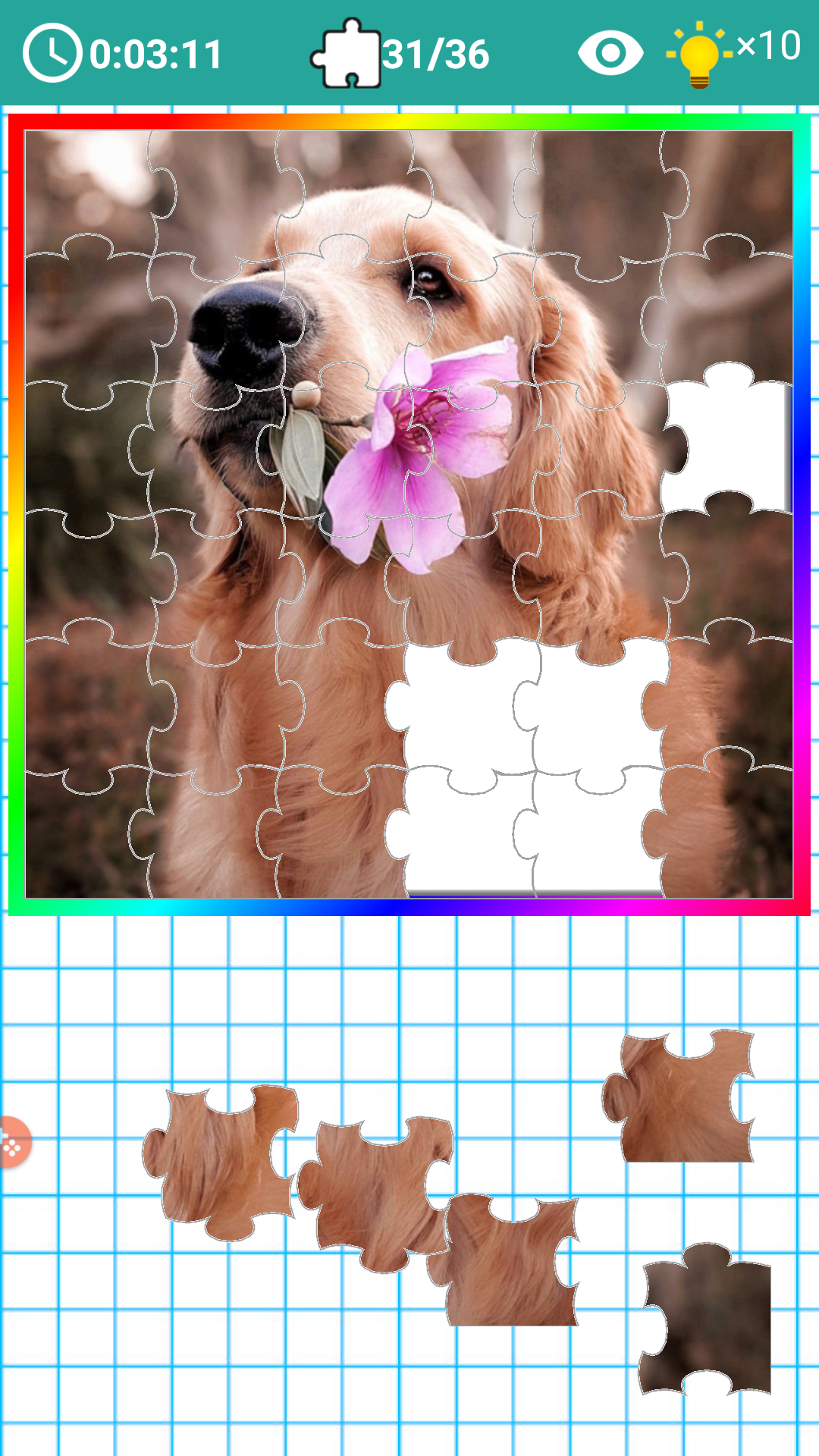 PICK and FIT JIGSAW 2019 gallery image