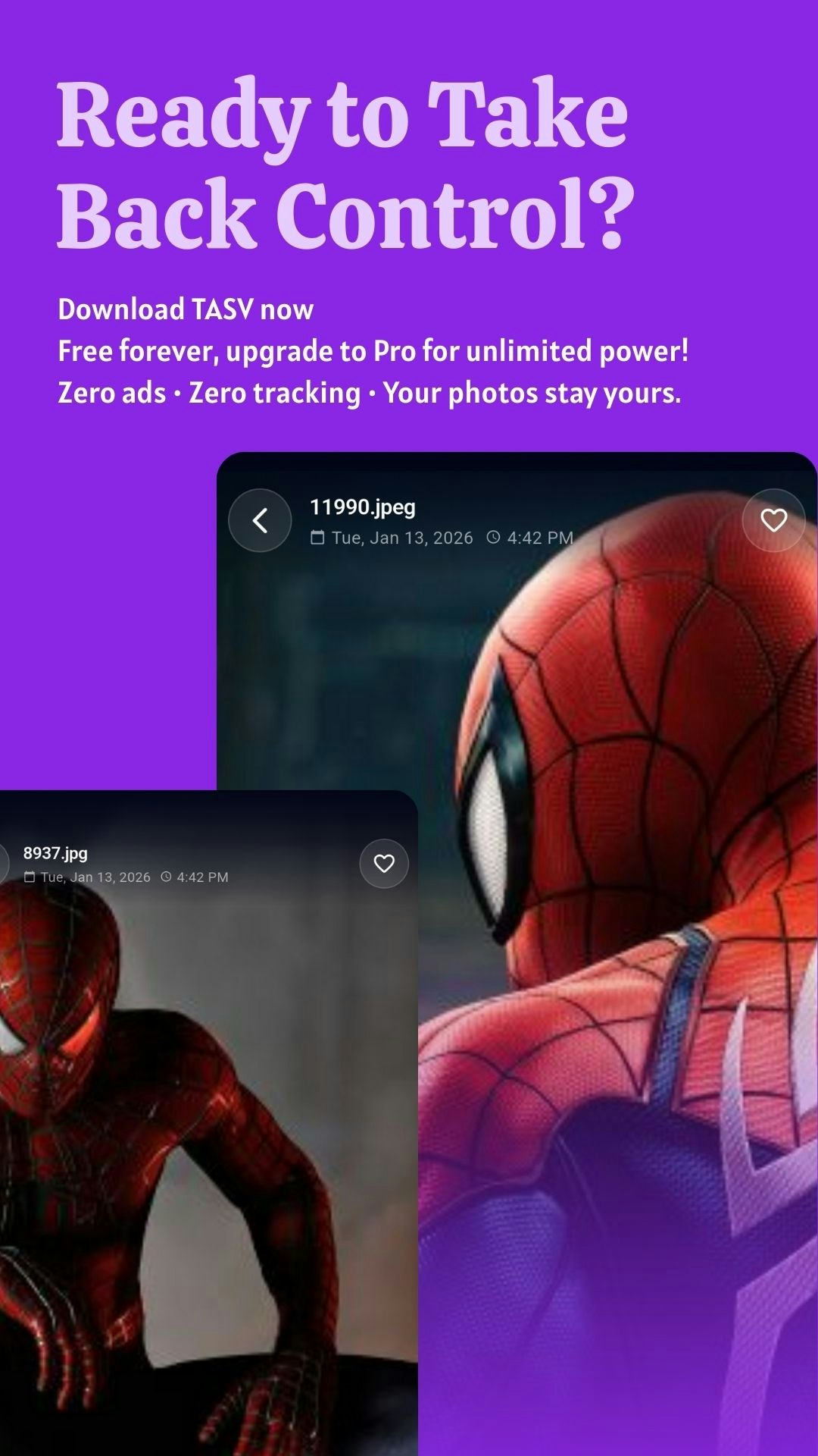 TASV - Main product screenshot demonstrating key features and user interface