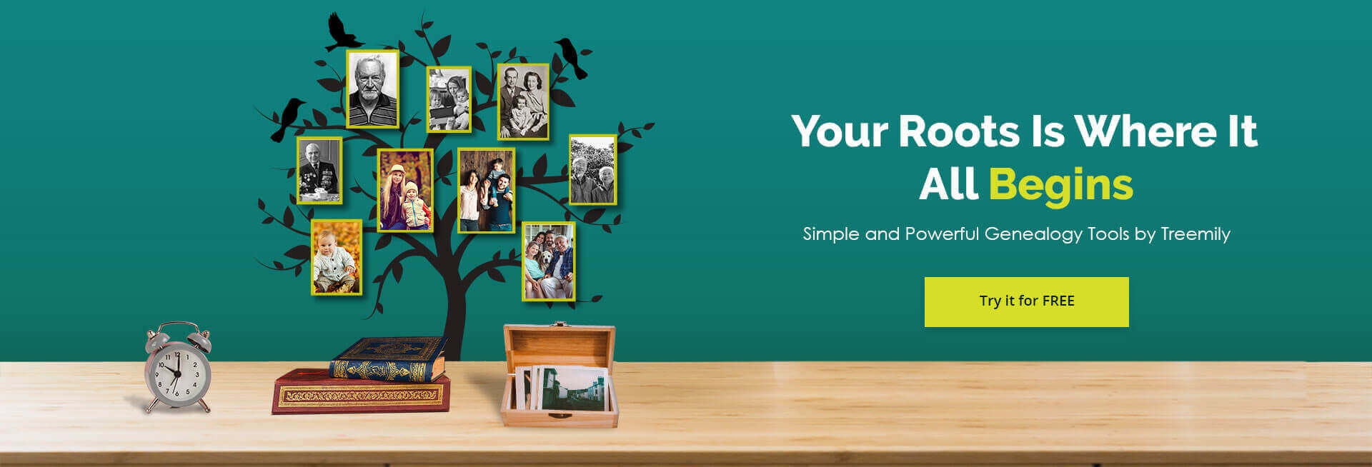 Treemily: Family tree maker gallery image