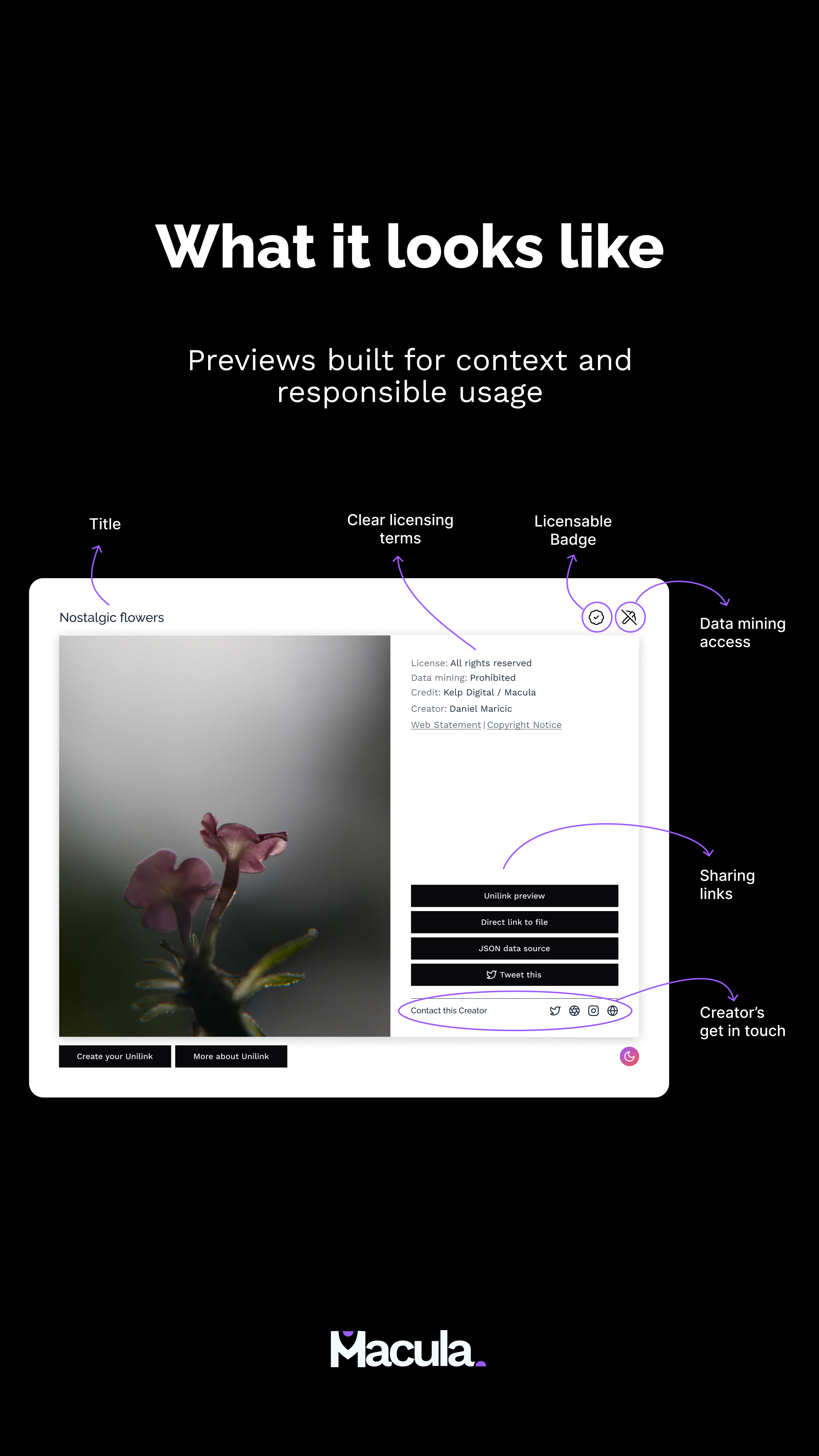 unilink โดย macula media 5