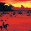 Blood Meridian: Or the Evening Redness in the West