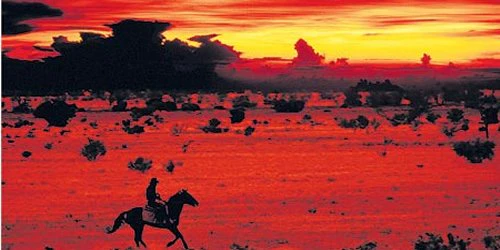 Blood Meridian: Or the Evening Redness in the West 